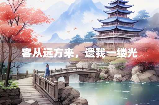 客从远方来，遗我一缕光