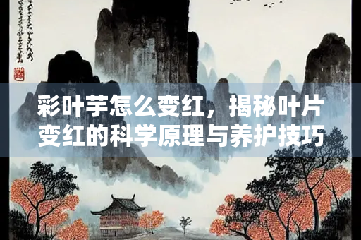 彩叶芋怎么变红，揭秘叶片变红的科学原理与养护技巧