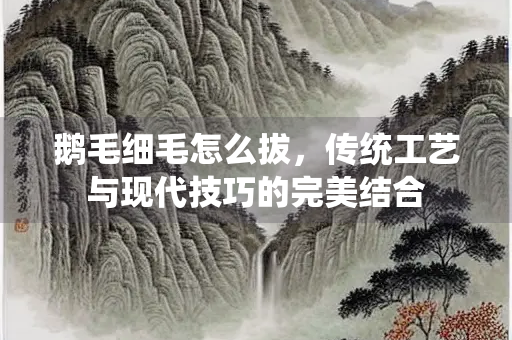 鹅毛细毛怎么拔，传统工艺与现代技巧的完美结合