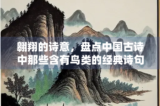 翱翔的诗意，盘点中国古诗中那些含有鸟类的经典诗句
