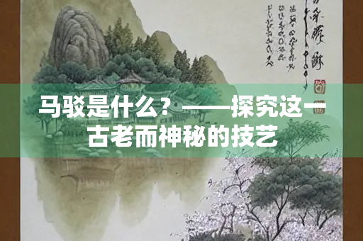 马驳是什么？——探究这一古老而神秘的技艺
