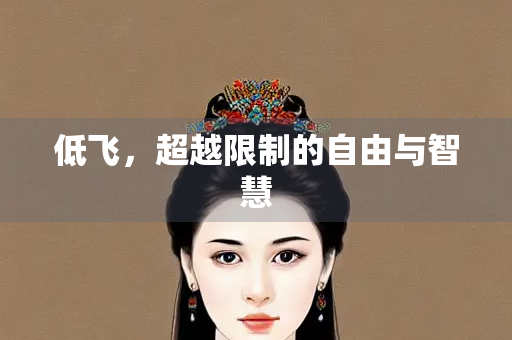 低飞，超越限制的自由与智慧