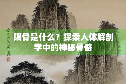 隅骨是什么？探索人体解剖学中的神秘骨骼