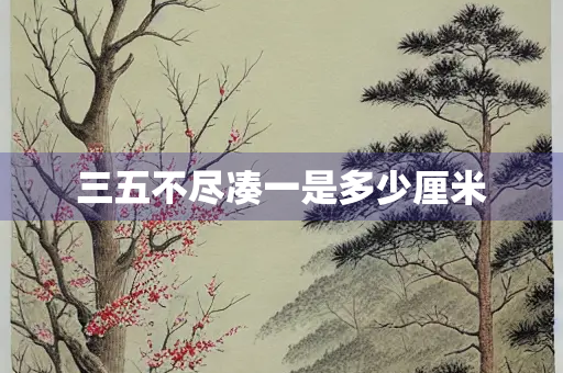 三五不尽凑一是多少厘米