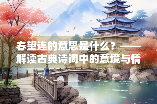 春望连的意思是什么？——解读古典诗词中的意境与情感