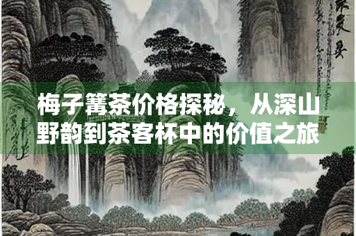 梅子篝茶价格探秘，从深山野韵到茶客杯中的价值之旅