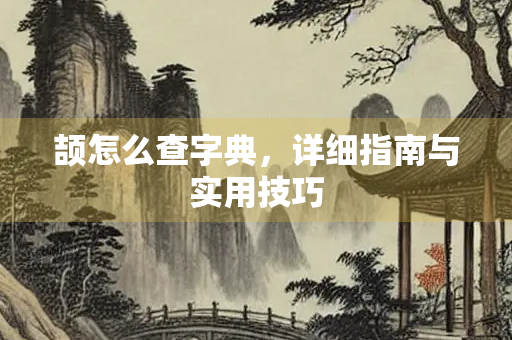 颉怎么查字典，详细指南与实用技巧