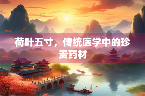 荷叶五寸，传统医学中的珍贵药材