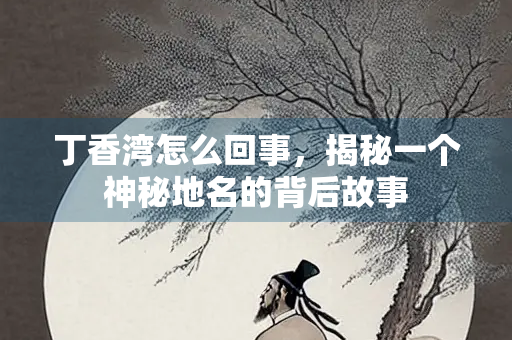 丁香湾怎么回事，揭秘一个神秘地名的背后故事