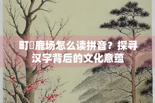 町畽鹿场怎么读拼音？探寻汉字背后的文化意蕴