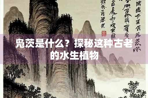凫茨是什么？探秘这种古老的水生植物