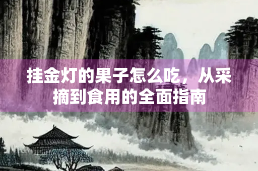 挂金灯的果子怎么吃，从采摘到食用的全面指南