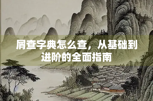 屑查字典怎么查，从基础到进阶的全面指南