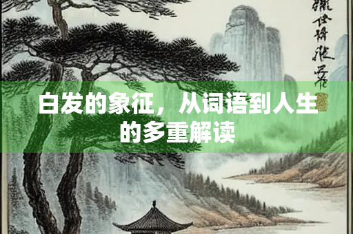 白发的象征，从词语到人生的多重解读