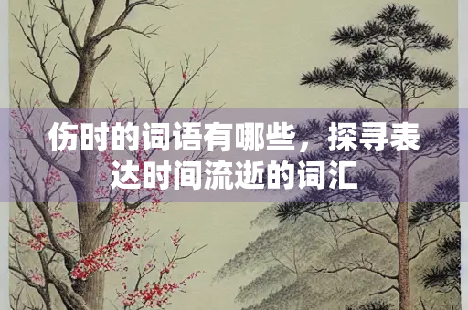伤时的词语有哪些，探寻表达时间流逝的词汇