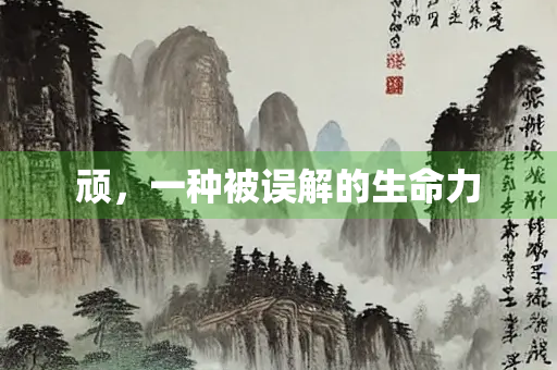 顽，一种被误解的生命力