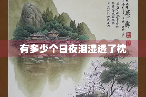 有多少个日夜泪湿透了枕