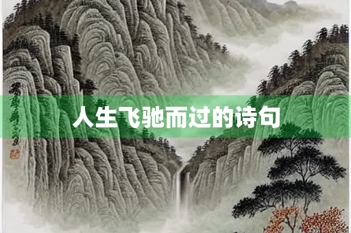 人生飞驰而过的诗句