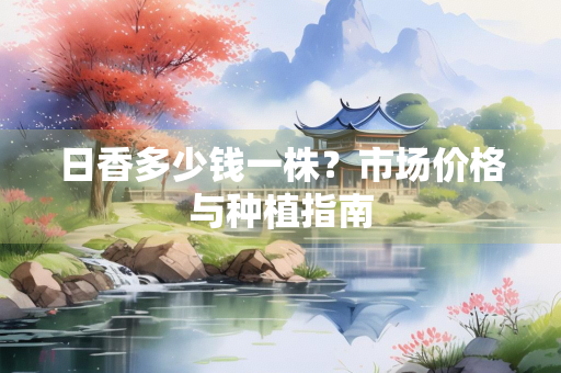 日香多少钱一株？市场价格与种植指南