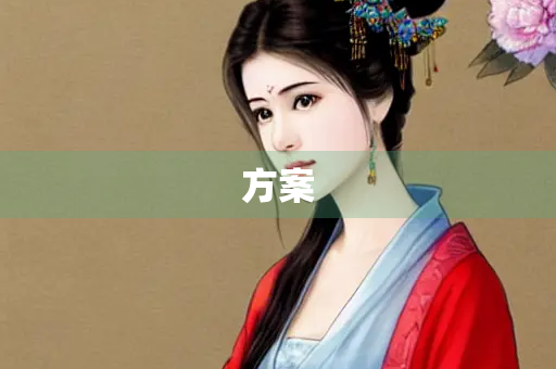 方案