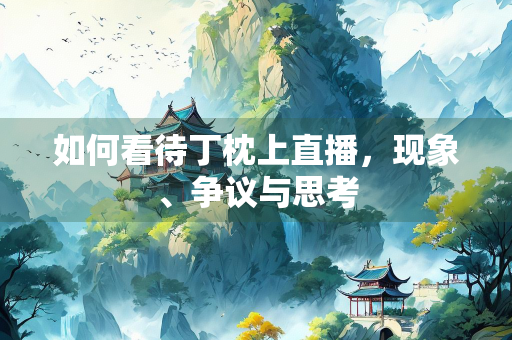 如何看待丁枕上直播，现象、争议与思考
