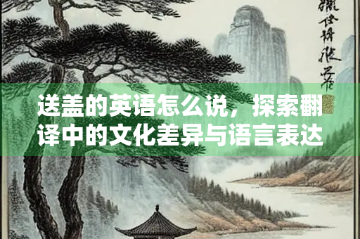 送盖的英语怎么说，探索翻译中的文化差异与语言表达