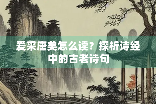 爰采唐矣怎么读？探析诗经中的古老诗句