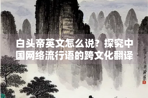 白头帝英文怎么说？探究中国网络流行语的跨文化翻译