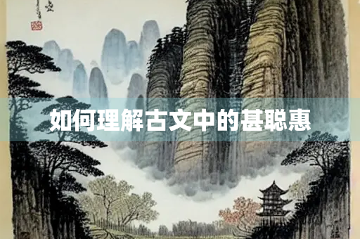 如何理解古文中的甚聪惠
