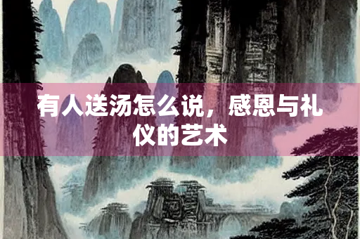 有人送汤怎么说，感恩与礼仪的艺术