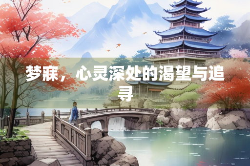 梦寐，心灵深处的渴望与追寻