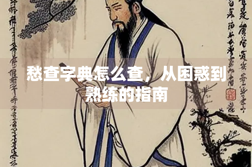 愁查字典怎么查，从困惑到熟练的指南
