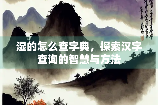 湿的怎么查字典，探索汉字查询的智慧与方法