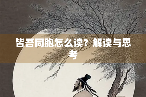 皆吾同胞怎么读？解读与思考