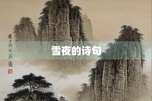 雪夜的诗句