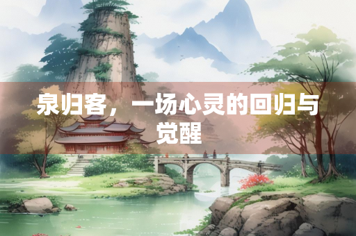 泉归客，一场心灵的回归与觉醒