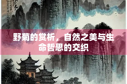 野菊的赏析，自然之美与生命哲思的交织