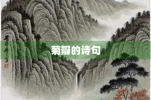 菊瓣的诗句
