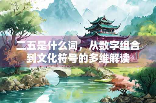 二五是什么词，从数字组合到文化符号的多维解读