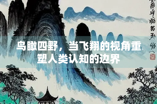 鸟瞰四野，当飞翔的视角重塑人类认知的边界