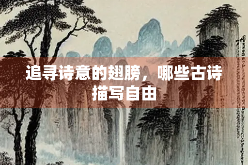 追寻诗意的翅膀，哪些古诗描写自由