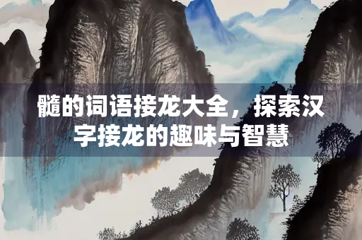 髓的词语接龙大全，探索汉字接龙的趣味与智慧