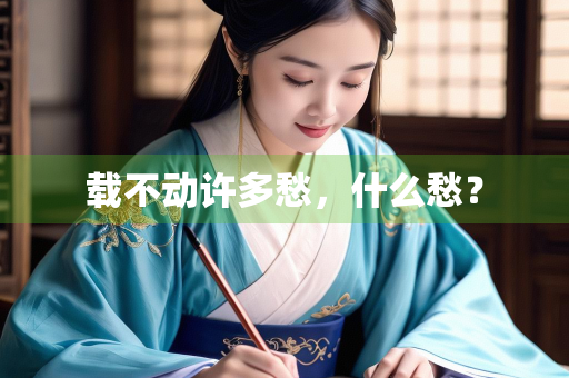 载不动许多愁，什么愁？