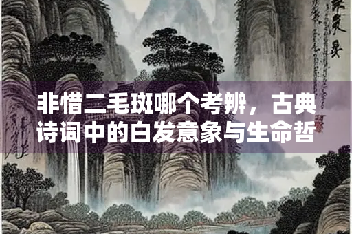 非惜二毛斑哪个考辨，古典诗词中的白发意象与生命哲思