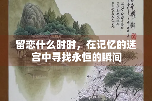留恋什么时时，在记忆的迷宫中寻找永恒的瞬间