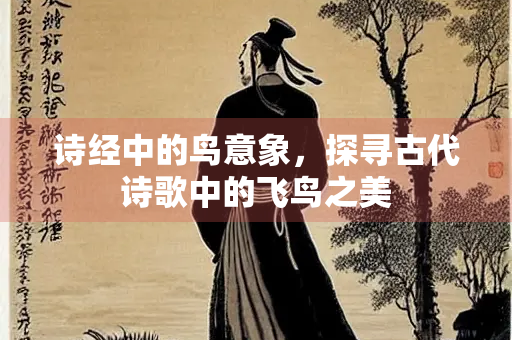 诗经中的鸟意象，探寻古代诗歌中的飞鸟之美