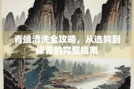 青蛾清洗全攻略，从选购到保养的完整指南