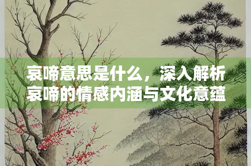 哀啼意思是什么，深入解析哀啼的情感内涵与文化意蕴