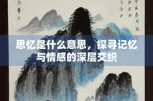 思忆是什么意思，探寻记忆与情感的深层交织