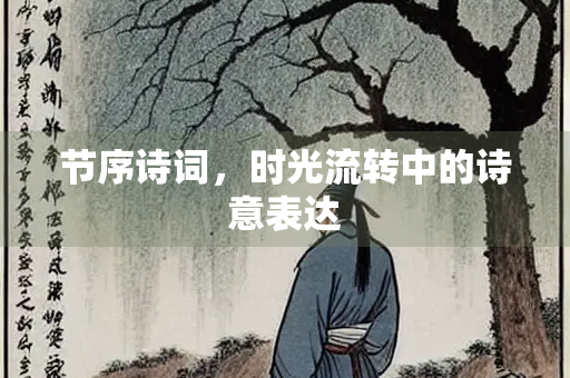 节序诗词，时光流转中的诗意表达